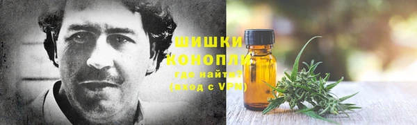 гашик Тавда